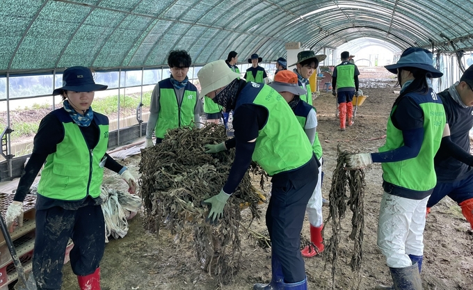 수해복구 (한국농수산식품유통공사 제공)
