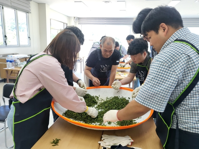 보성 영천마을 (전라남도)