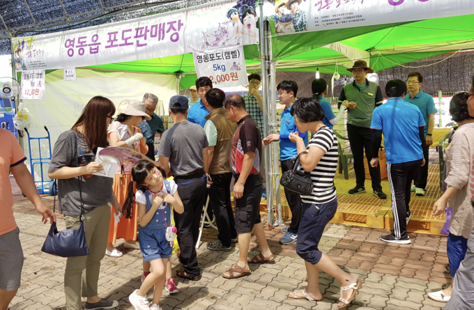 영동포도축제 (영동군)