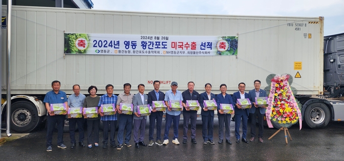 영동포도 미국 수출 선적 (영동군)