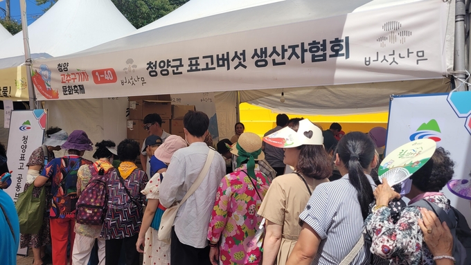 청양고추구기자문화축제 (청양군)