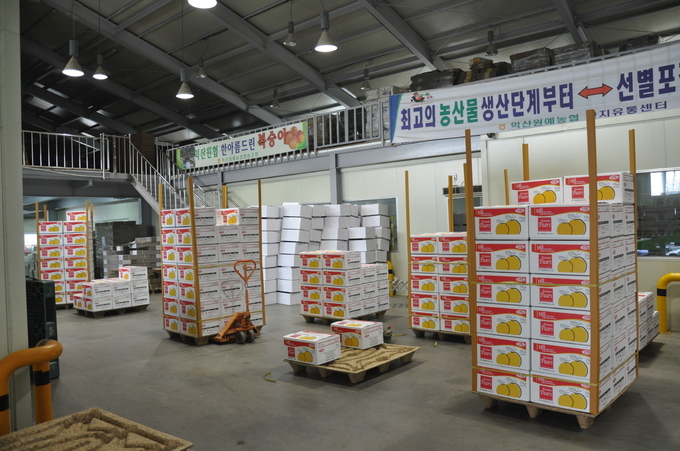 햇배 수출 (익산시)