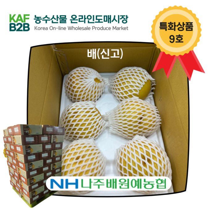 농수산물 온라인도매시장 9호 특화상품 ‘나주 배’ (한국농수산식품유통공사 제공)