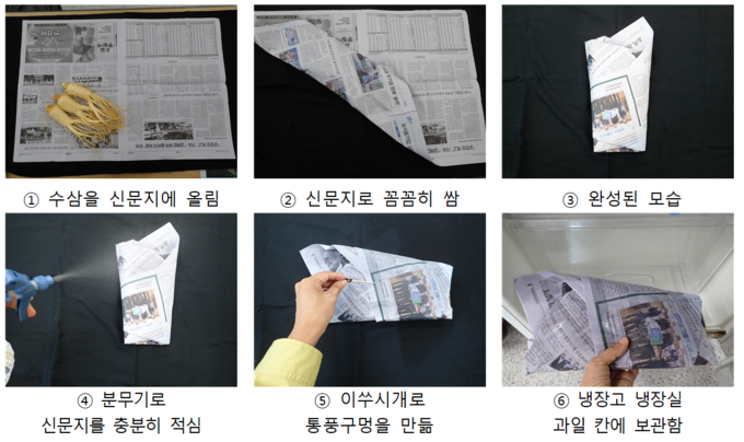 인삼 보관방법 (농촌진흥청 제공)