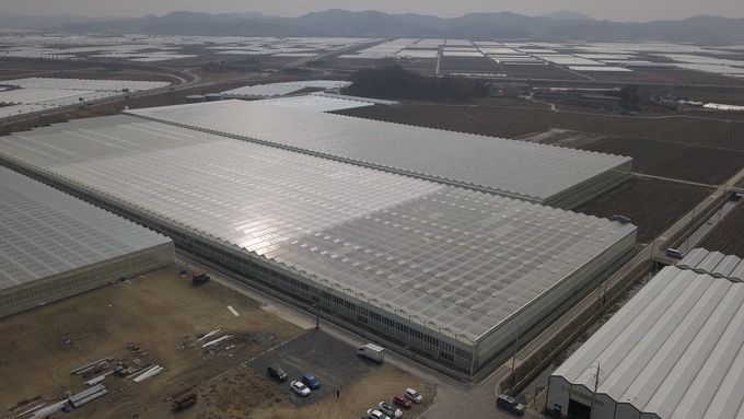 스마트팜 단지 (충청남도)