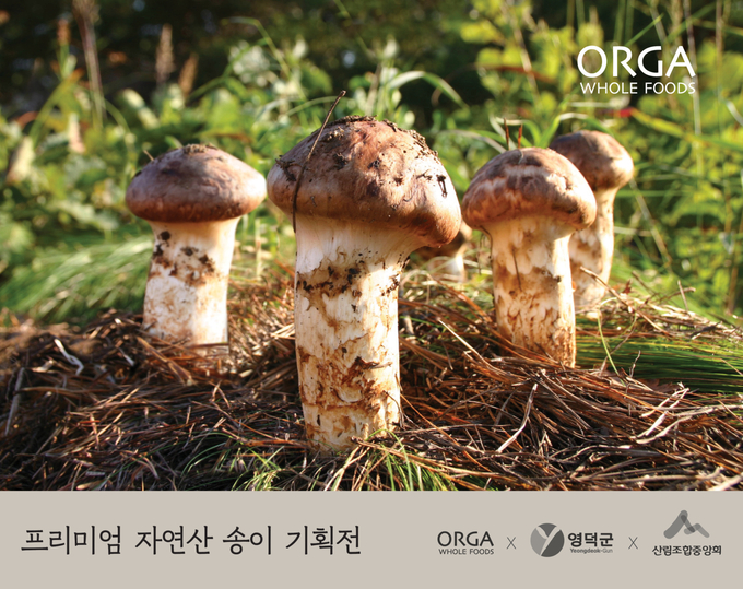 송이푸드 이미지