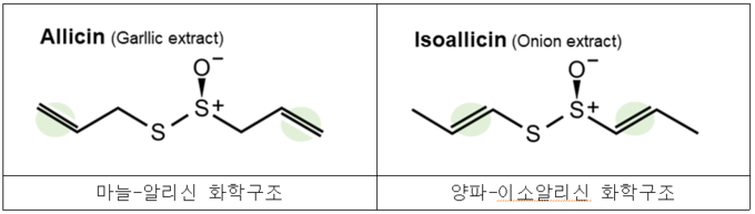 양파 이소알리신(isoallicin) 효능 (농촌진흥청 제공)