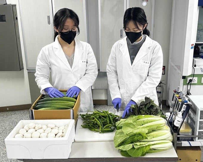 농산물 검사 (대전시)