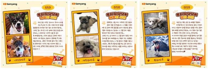 우리집 댕댕이 자랑대회 (삼양식품 제공)