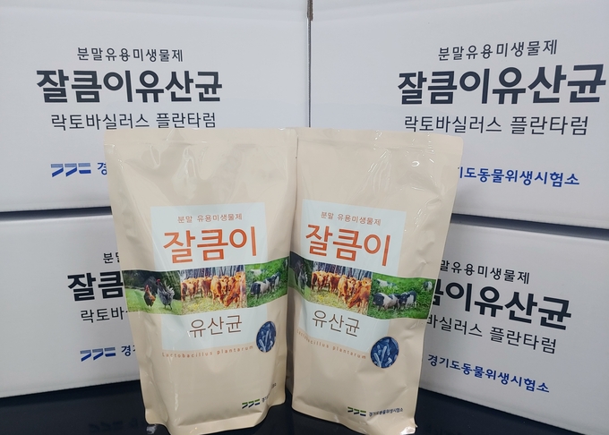 유산균 (경기도)