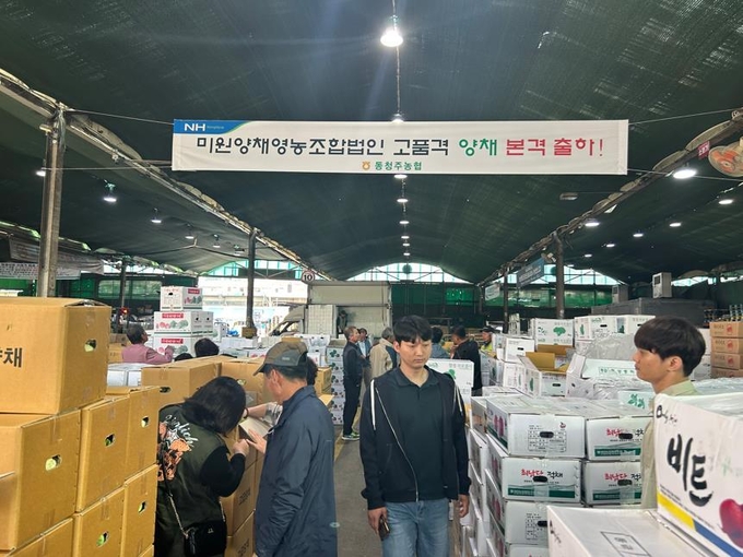 서울 가락동 농산물 시장 (청주시)