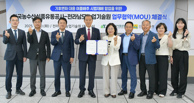 초여름배추 시범재배 협업 업무협약 (한국농수산식품유통공사 제공)