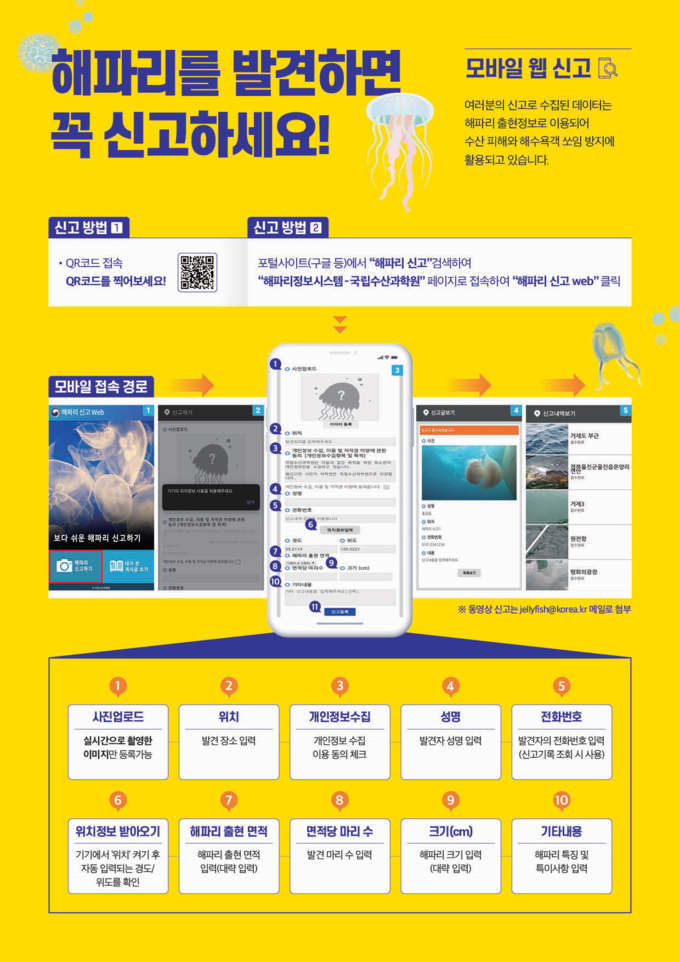 해파리 신고 (해양수산부 제공)