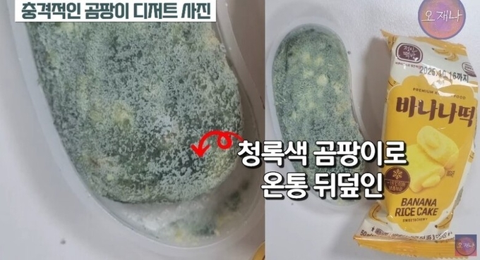 사진=스튜디오 오재나 제공