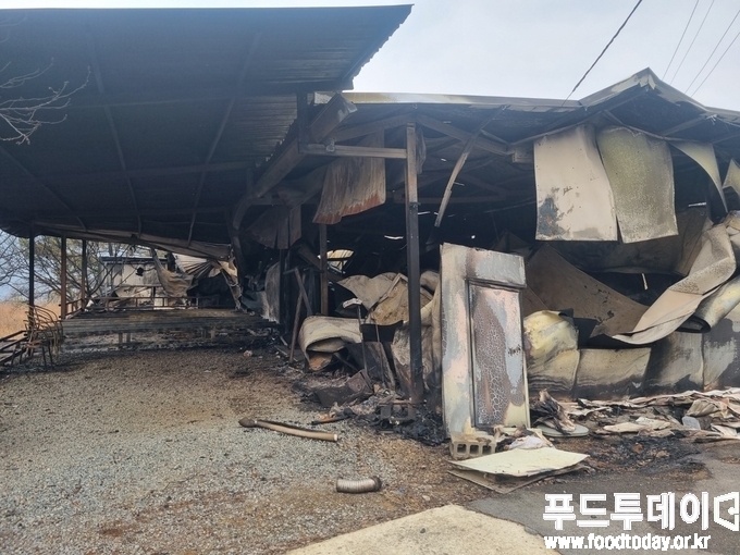 지난 3월 영남지역 초대형 산불로 전소된 축사