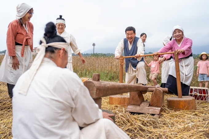 보리타작 체험 행사 (증평군)