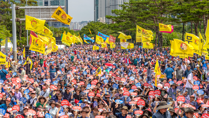 2024년 7월 3일, 전국한우협회는 서울 여의도 국회 앞에서 ‘한우 반납 투쟁’ 집회를 열고 정부와 국회를 향해 한우산업 정상화를 위한 지원 대책 마련을 촉구했다.