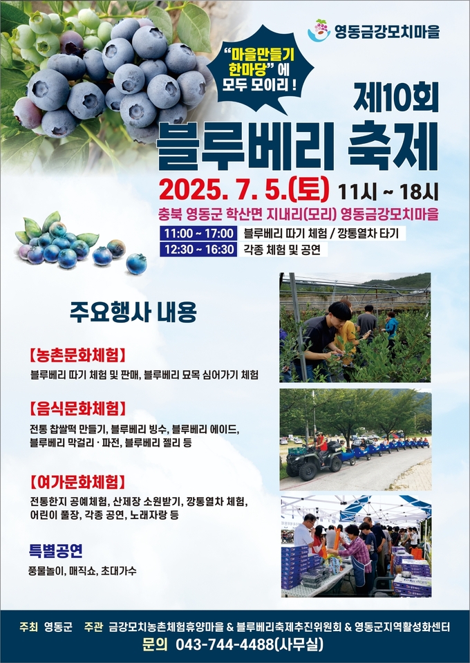 블루베리축제 (영동군)