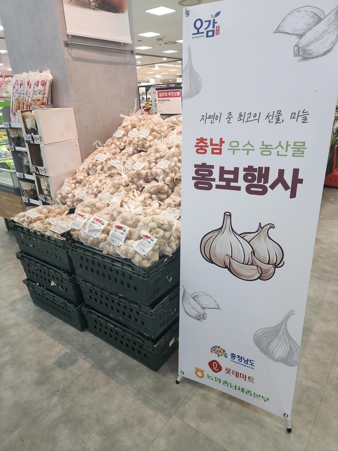 할인 행사 (충청남도)