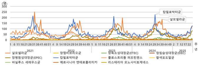 2021년부터 2025년 표본감시 대상 세균성 장관감염증 발생 추이 (질병관리청 제공)