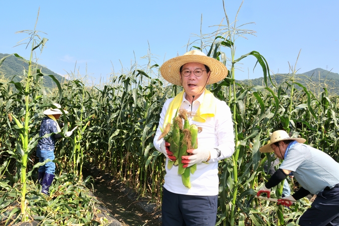 2025 괴산대학찰옥수수 첫 출하 행사 (괴산군)