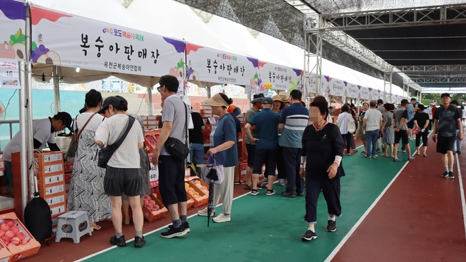 향수옥천 포도·복숭아 축제 (옥천군)