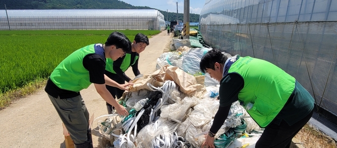 전남 나주지역 집중호우 피해농가 일손돕기 (한국농수산식품유통공사 제공)