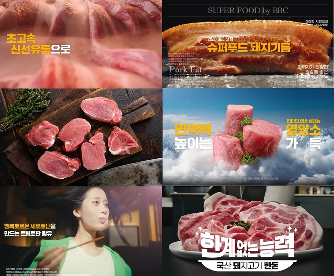 한계 없는 능력 캠페인 (한돈자조금관리위원회 제공)