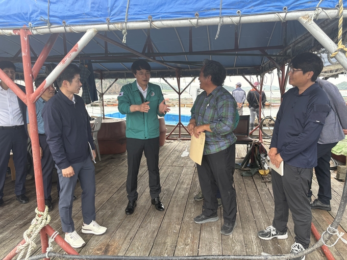 고수온 현장 점검 (충청남도)
