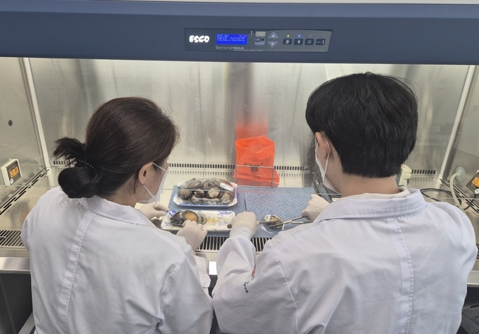 비브리오패혈증 검체 검사 (광주광역시)