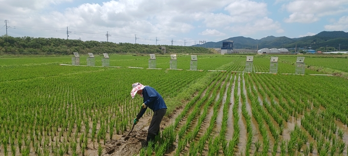 저탄소 농가 (전라남도)
