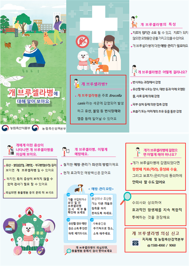 개 브루셀라병 예방법 (농림축산식품부 제공)