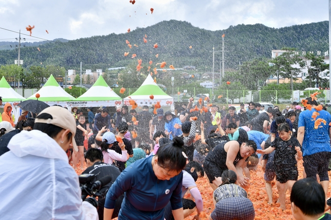  제14회 둔내고랭지토마토축제 (횡성군)