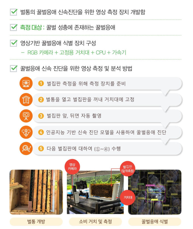비전의 꿀벌응애 검출 방법 (농촌진흥청 제공)