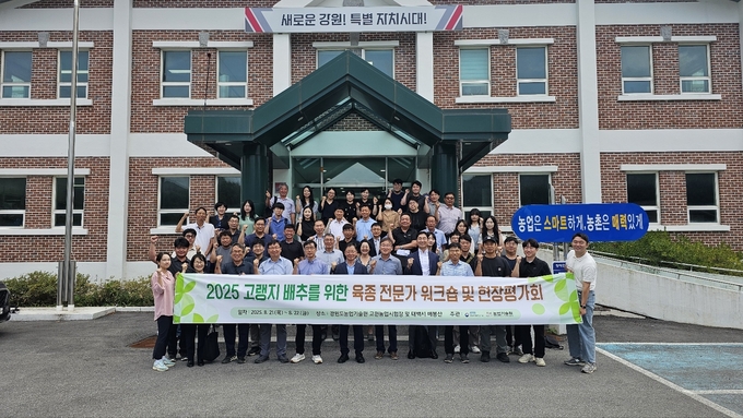 고랭지 배추 육종 전문가 워크숍 (강원농업기술원 제공)