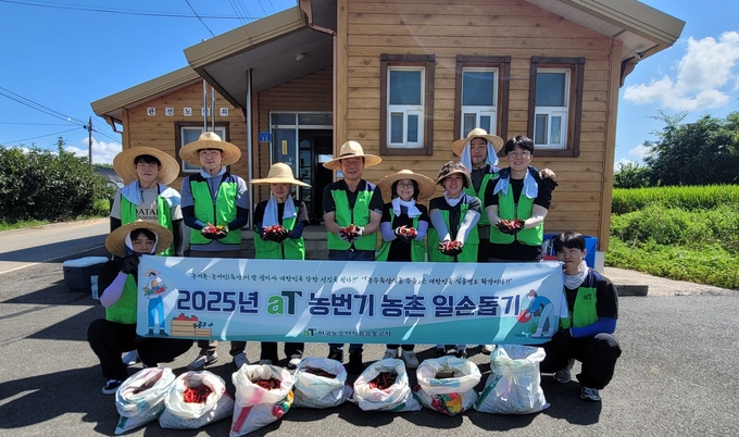 전남 나주 농촌 일손 돕기 현장 (한국농수산식품유통공사 제공)