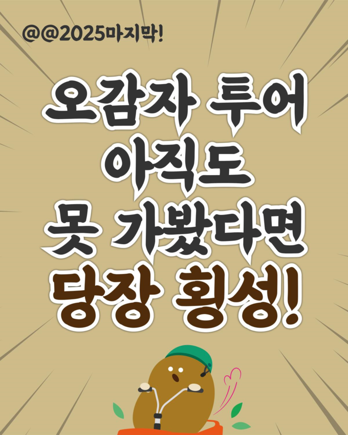 오감자 축제 (강원관광재단 제공)