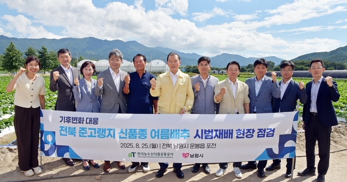 전북 남원시 준고랭지 여름배추 포전 현장점검 (한국농수산식품유통공사 제공)