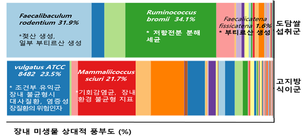 마우스 장내 단쇄지방산 생성 변화 (농촌진흥청 제공)
