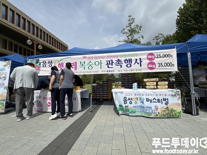 음성 햇사레 복숭아 판매촉진 행사