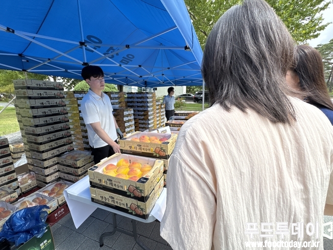 음성 햇사레 복숭아 판매촉진 행사