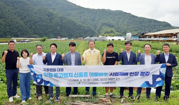 26일 강원도 정선군 준고랭지 여름배추 시범재배지 현장점검 (한국농수산식품유통공사 제공)
