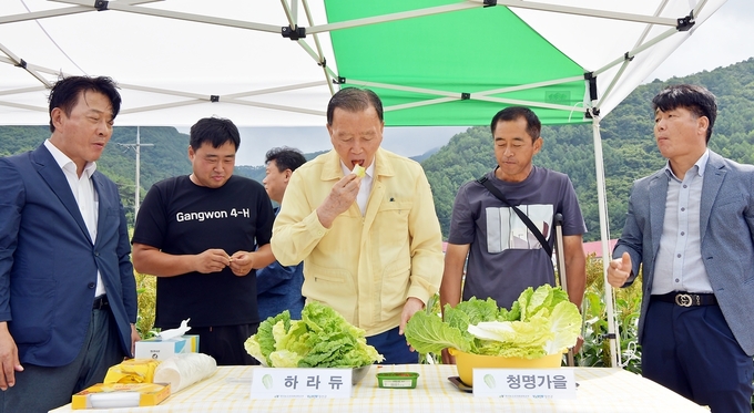 26일 강원도 정선군 준고랭지 여름배추 시범재배지 현장점검 (한국농수산식품유통공사 제공)