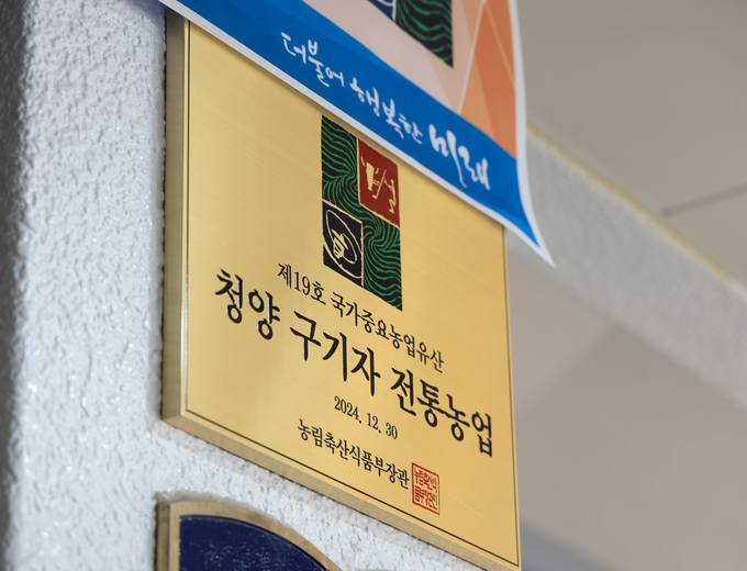 구기자 농업 (청양군)