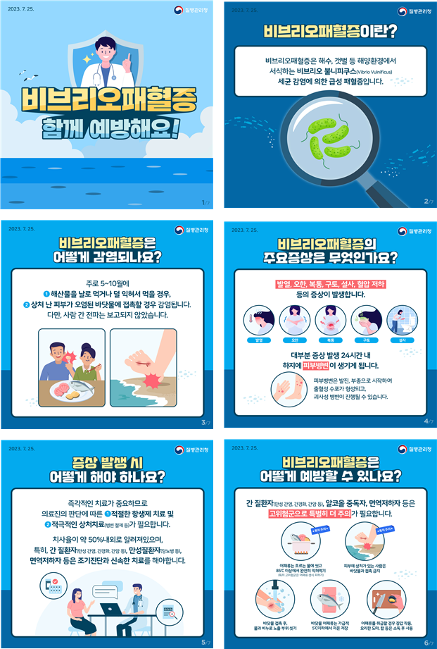 비브리오패혈증 예방 수칙 (질병관리청 제공)