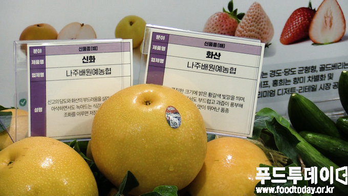 배 '신화', '화산' 품종