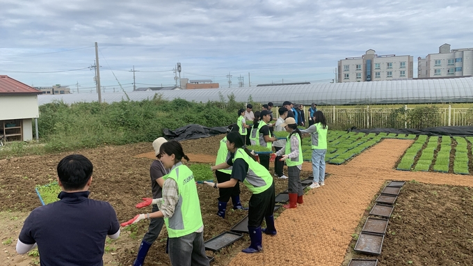 화이트클로버 생태학습장 조성 (한국농수산식품유통공사 제공)