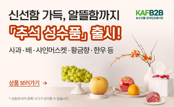 추석 명절 온라인도매시장 할인 안내 (한국농수산식품유통공사 제공)