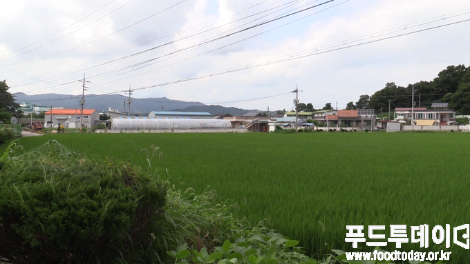 충북의 한 마을