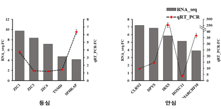 등심 및 안심 부위별 특이 유전자 발현 검증 (농촌진흥청 제공)